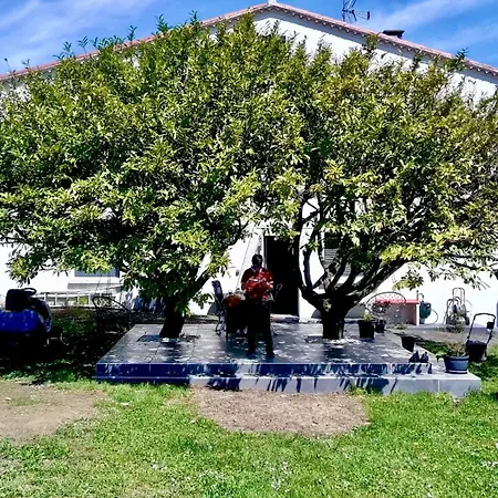 Le Havre D'athena - Grand Appart, Jardin Prive, Abri Velos & Acces Rapide A61 Apartmán Castelnaudary